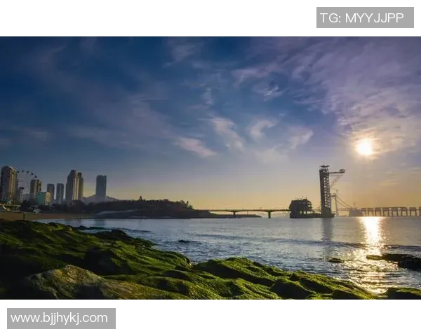 英乙U23赛事分析与预测揭示年轻球员的潜力与未来发展方向